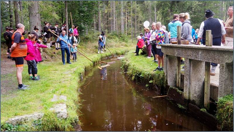 V sobotu 14. září se letos již osmé plavení dříví konalo v Rakousku u potoku Schrollenbach.