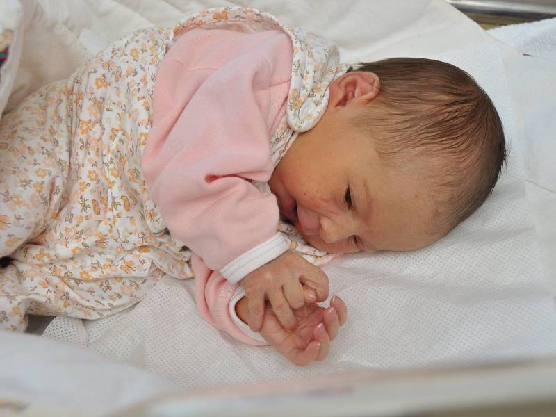 Anna Horáková je prvním dítětem v rodině Horákových  ze Zechovic u Volyně. Holčička se narodila v pondělí 22. ledna sedmatřicet minut po poledni ve strakonické porodnici. Vážila 3220 gramů.
