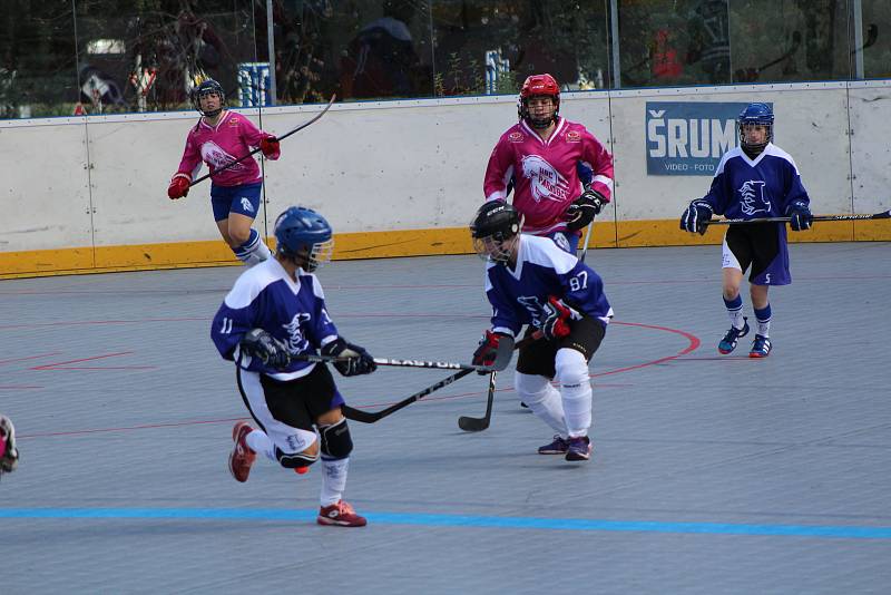 Hokejbalová liga žen - turnaj v Prachaticích.