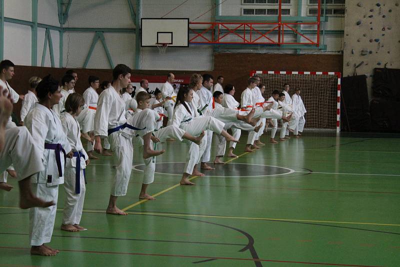 Prachatice hostí 14. ročník tréninkového kempu karatistů Gasshuku Czech 2019.