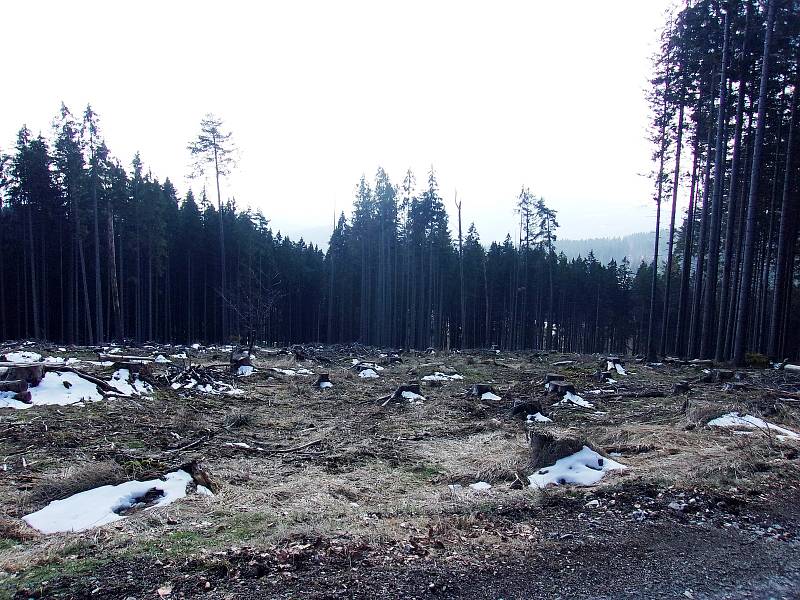 Šumava.