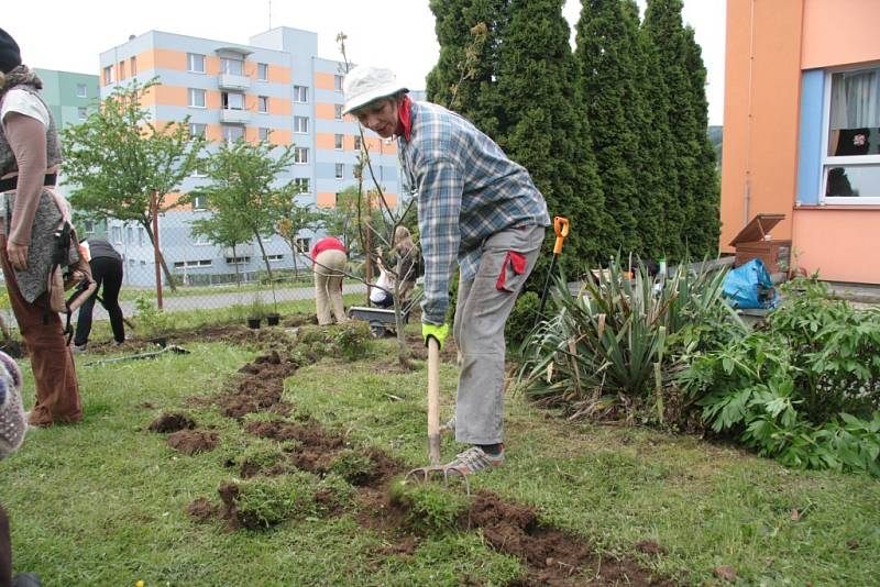 V areálu Základní školy v Národní ulici v Prachaticích vznikne nová zahrada.