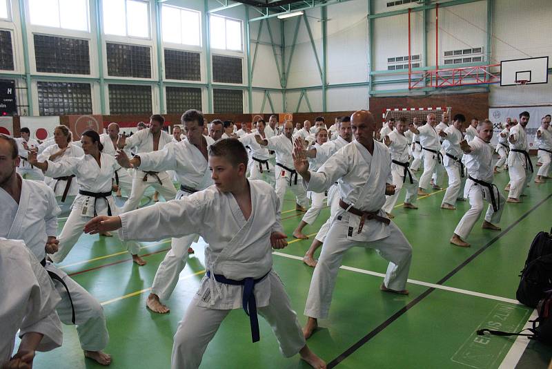 Prachatice hostí 14. ročník tréninkového kempu karatistů Gasshuku Czech 2019.