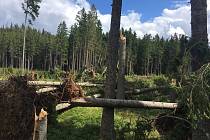 Páteční bouřka za sebou nechala obrovské škody na území Národního parku Šumava. Turisté se tak na některá místa nepodívají.