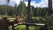 Páteční bouřka za sebou nechala obrovské škody na území Národního parku Šumava. Turisté se tak na některá místa nepodívají.