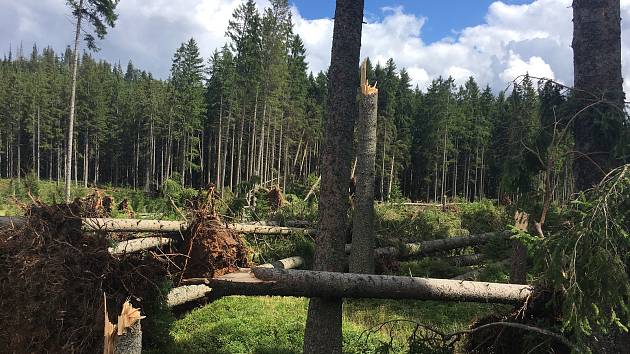 Páteční bouřka za sebou nechala obrovské škody na území Národního parku Šumava. Turisté se tak na některá místa nepodívají.