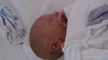 Roman Schneedorfer se v prachatické porodnici narodil 20. dubna 2001 ve 13. 15 hodin, vážil 2620 gramů a měřil 46 centimetrů. Své první miminko si rodiče Lenka Schneedorferová a Václav Brňák odvezou do Volar.