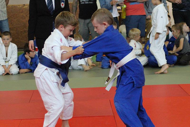 Mladí judisté se představili na VC Prachatice v rámci mezinárodního projektu Judo & Art.