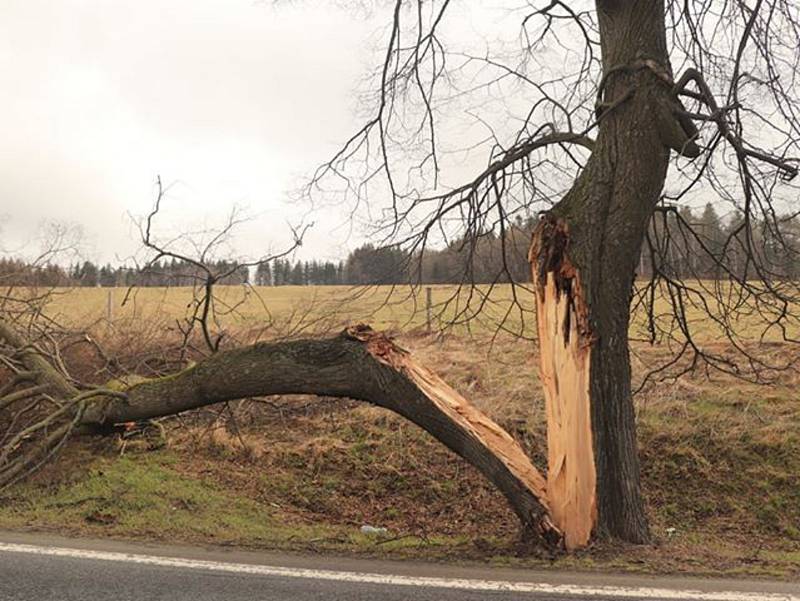 Silnice z Vimperka na hraniční přechod Strážný řidiče děsí.