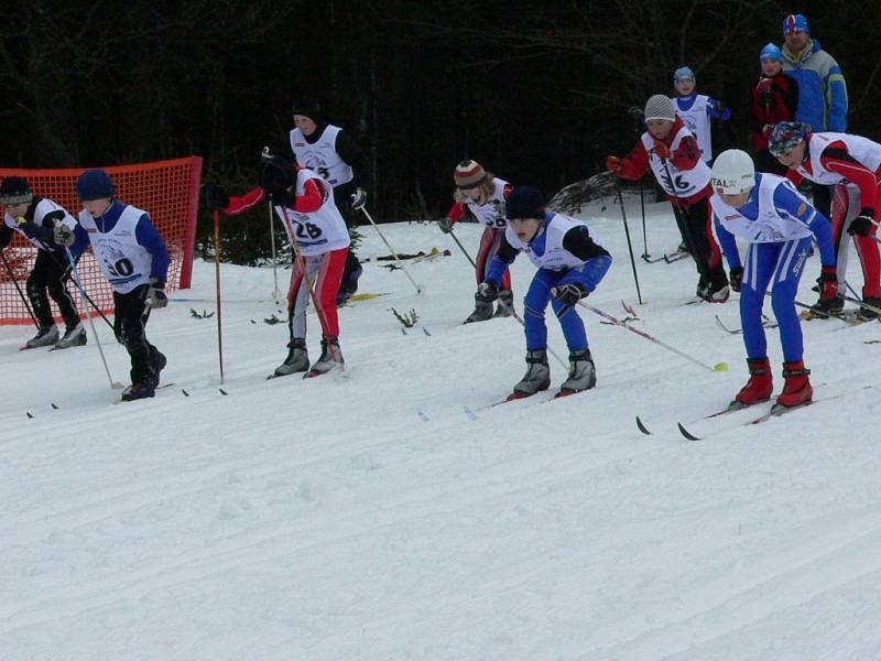 Víkend na Churáňově patřil musherům, v neděli se navíc i běžela Stašská 15.