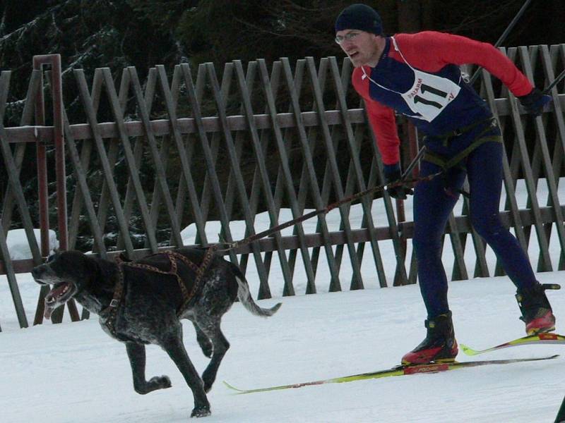 Víkend na Churáňově patřil musherům, v neděli se navíc i běžela Stašská 15.