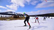 Šumava o víkendu žila dalším ročníkem Šumavského skimaratonu.