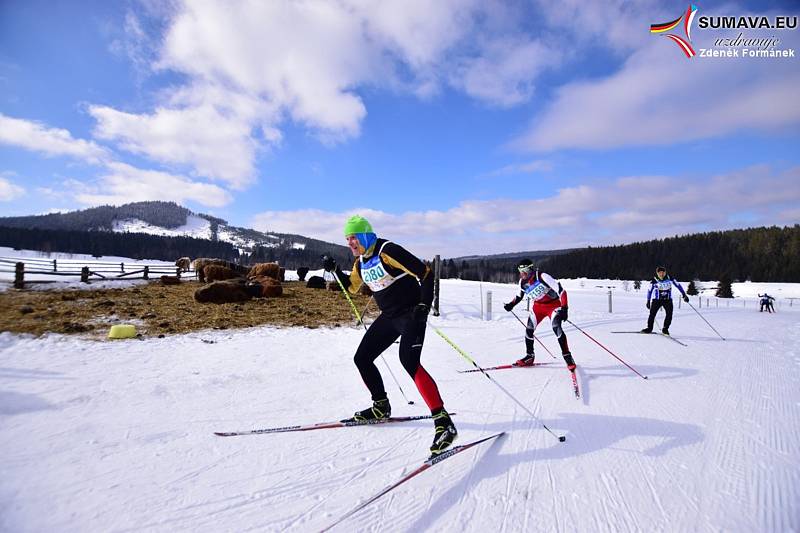 Šumava o víkendu žila dalším ročníkem Šumavského skimaratonu.