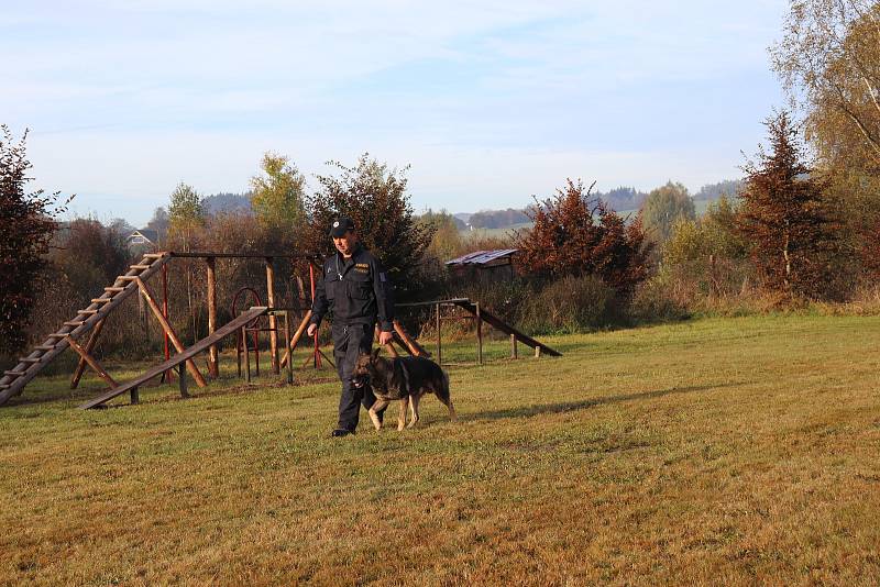 Zkoušky psů ve Volarech.