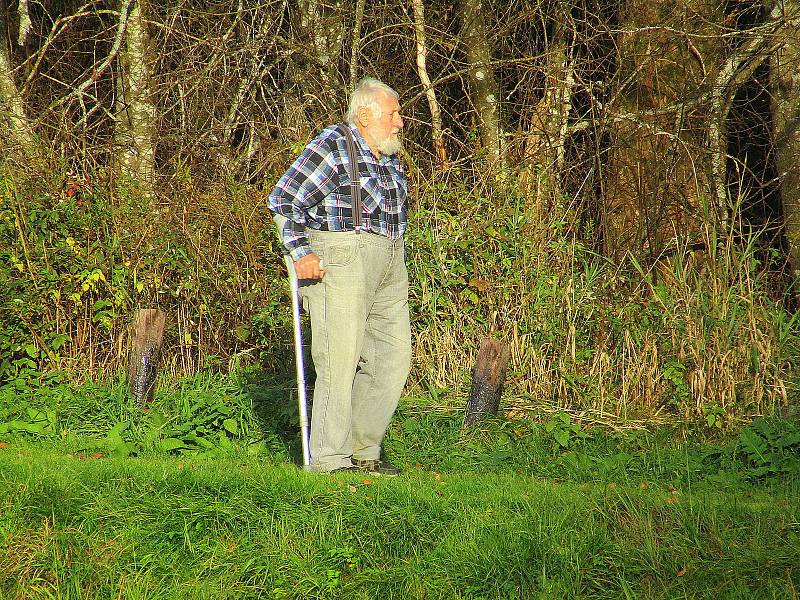 Národní park Šumava dokončil obnovu povalového chodníku na Soumarském rašeliništi u Volar. Naučná stezka turisty zavede k vyhlídkové věži a zpět k parkovišti lze projít okruh kolem řeky Vltavy.