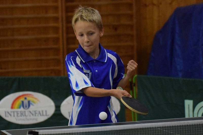 Mezinárodní kemp mladých stolních tenistů ve Vimperku.