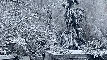 Březnový sníh v Prachaticích.