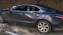 Jen pár set metrů na Prachaticemi, na silnici na Libínské Sedlo, spadl na Audi strom. Jeho řidička utrpěla lehká zranění.