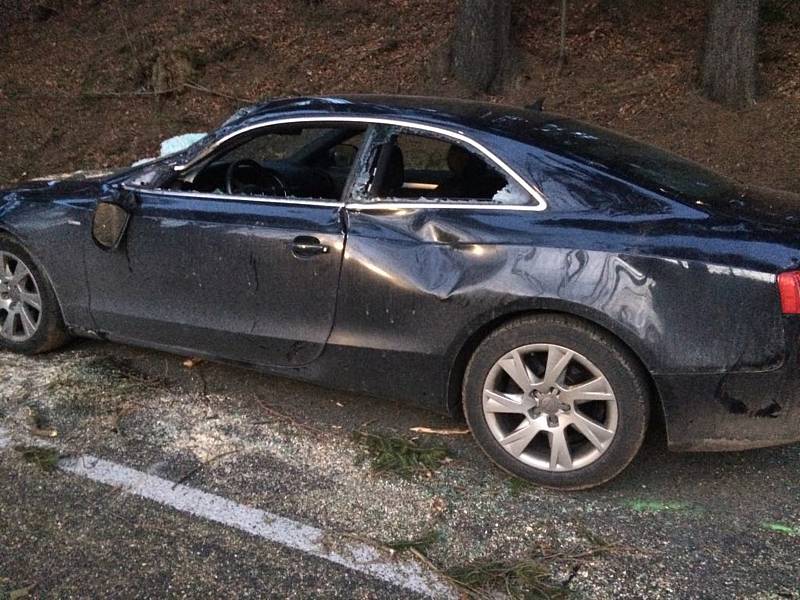 Jen pár set metrů na Prachaticemi, na silnici na Libínské Sedlo, spadl na Audi strom. Jeho řidička utrpěla lehká zranění.