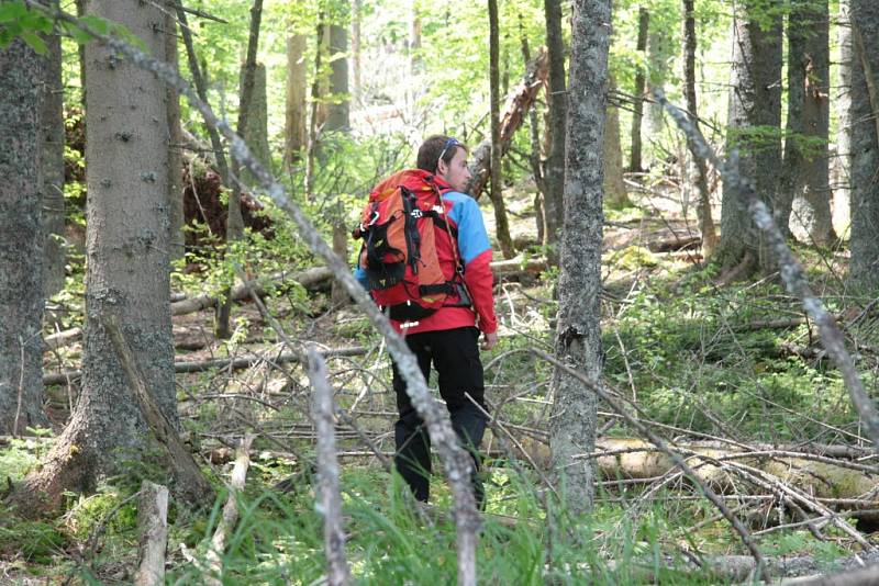 Oblast Národního parku Šumava od Nového Údolí přes Vltavskou cestu k Nové Peci až po Plešné jezero se ve čtbrtek stala místem pátrání po dvanácti ztracených účastnících nelegálního závodu. Naštěstí se jednalo o součinnostní cvičení záchranných složek.