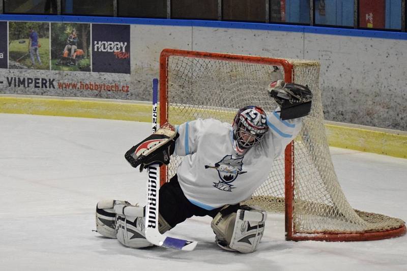 MHL: HC Budilov - HC Šumavští Vlci 7:4.