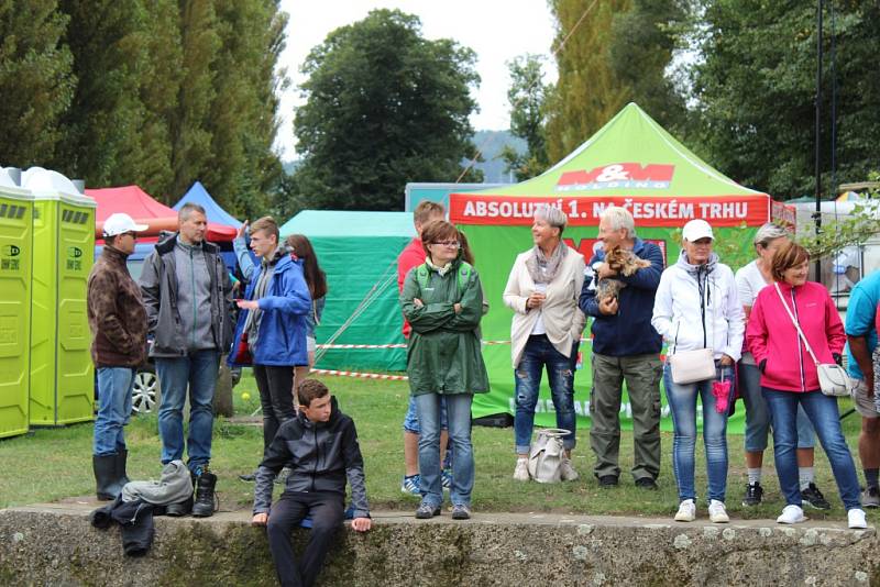 Posádky dračích lodí závodily na Berounce.