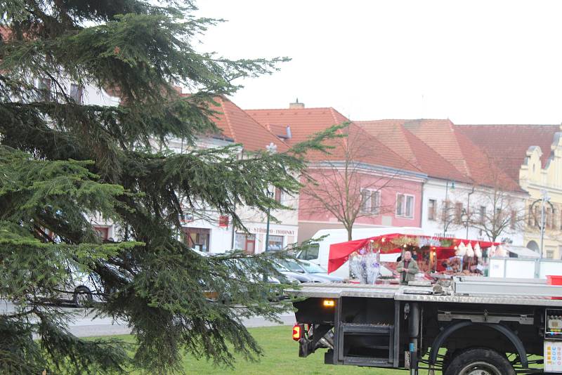 Centrum Berouna už zdobí nový vánoční strom. Letos je jím smrk z Vančurovy ulice.