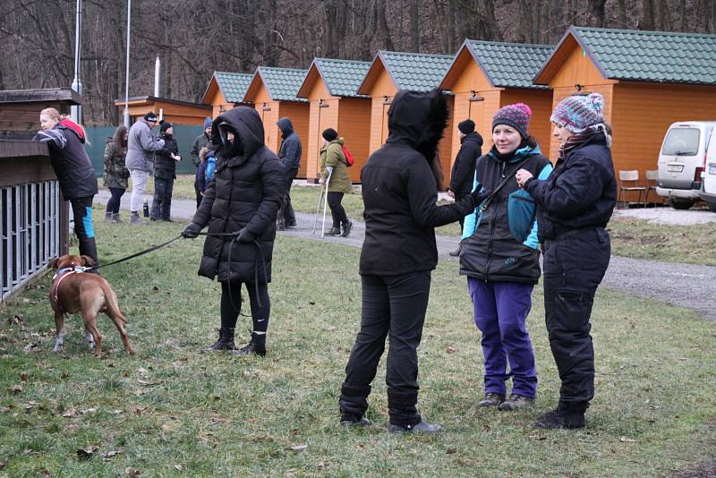 Psi mohou nově trénovat s páníčky v kempu Plešivec.