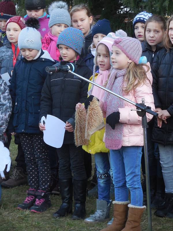 Koledy si zazpívali i žáci a jejich rodiče při Základní škole Komenského Závodí v Berouně. Nechtěli ale čekat do večera, tak si akci Česko zpívá koledy spojili s odpolední vánoční besídkou.