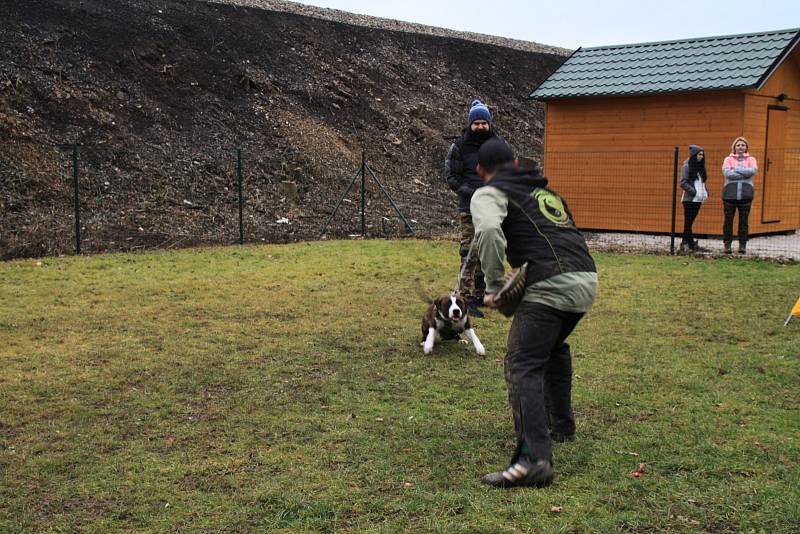 Psi mohou nově trénovat s páníčky v kempu Plešivec.