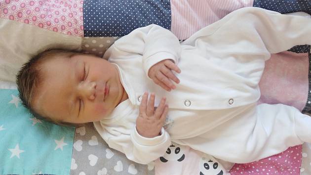 Štěpánka Nádeníková se narodila 12. května 2021 v 7. 26 hodin v čáslavské porodnici. Pyšnila se porodními mírami 4000 gramů a 53 centimetrů. Doma v Církvici ji přivítali maminka Jana, tatínek Roman a patnáctiletá sestřička Eliška.