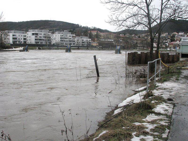 Berounka v pátek 14. ledna dopoledne. A řeka stále stoupá.