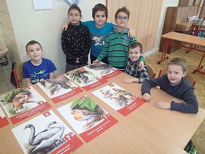 Žáci 2. základní školy Beroun se zapojili do celostátního projektu sčítání ptáků.