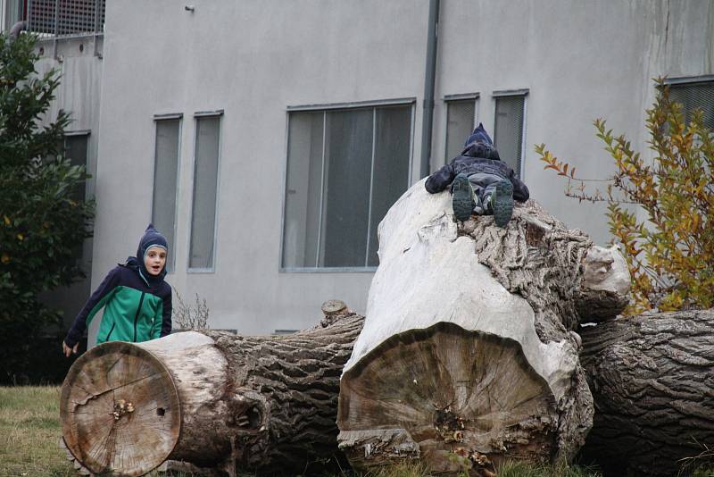 Z budování komunitního parku v Berouně Na Paloučku.