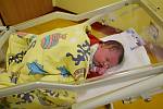 Natálie Alešová se manželům Lucii a Bohumilovi narodila v benešovské nemocnici 17. června 2021 ve 2.31 hodin, vážila 3440 gramů. Doma v Mirošovicích na ni čeká bratr Daniel (3).