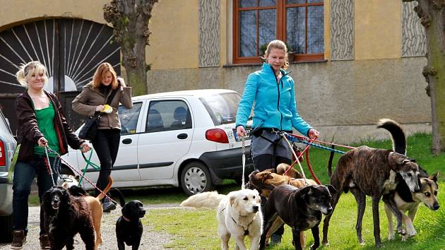 Pohodový výlet se psy se užijete v sobotu 24. září ve Bzové