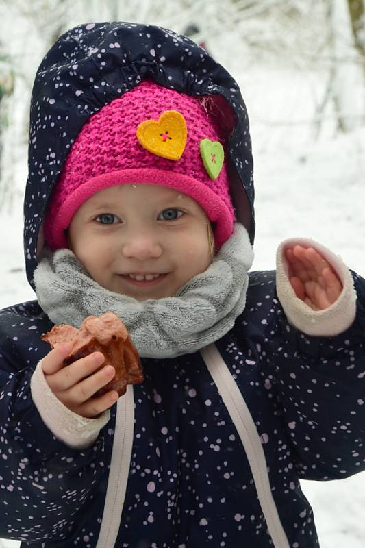 Mrazivé počasí neodradilo stovky lidí od tradičního loučení ze zimou na Koukolově hoře v Králově Dvoře.