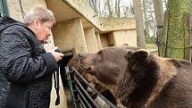 Z oslavy dvacátých narozenin medvědů Kuby a Matěje v areálu medvědária na Městské hoře v Berouně.