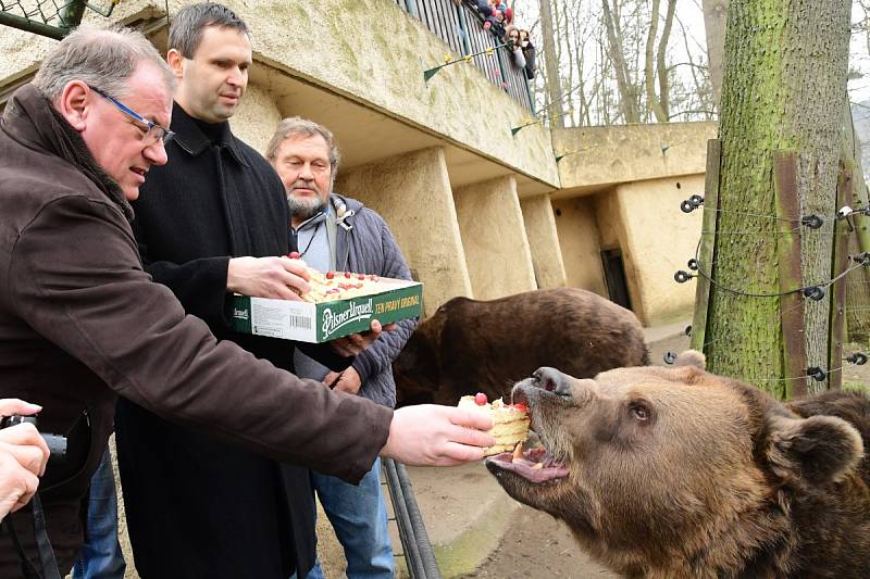 Z oslavy dvacátých narozenin medvědů Kuby a Matěje v areálu medvědária na Městské hoře v Berouně.