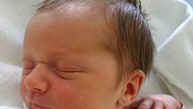 Dcera Pavlína se anrodila 10. března Jarmile a Petrovi  Šnoblovým z Nižboru. Jejich holčička po narození vážila 2720 gramů a měřila 48 centimetrů