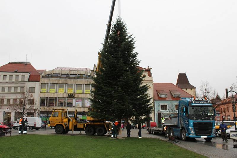 Dopravu vánočního stromu komplikovali neukáznění řidiči 