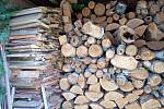 Na samosběru dřeva se ušetří tisíce korun. Důchodce z Tmaně chodí po dohodě s majitelem lesa na dřevo na Křižatky.