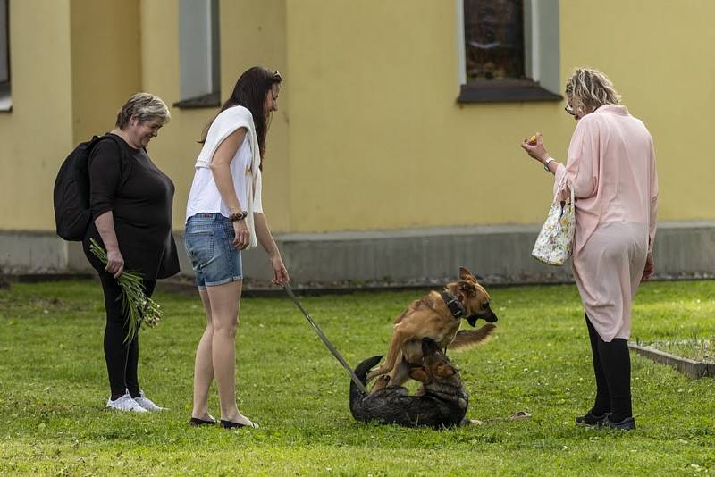 Loni nučický jarmark nahradily farmářské trhy, letos tak vrací v plné parádě.