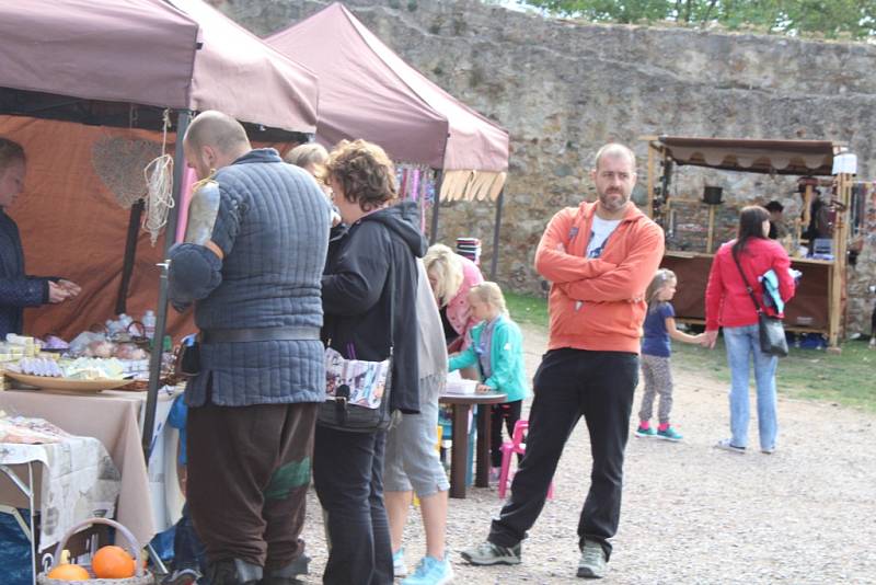 Šermířská utkání z drsného středověku, dobové stánky a další historické zajímavosti si v sobotu užili návštěvníci hradu Točník. 