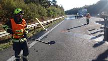 Na třináctém kilometru D5 u obce Vráž  ve směru na Plzeň došlo k tragické dopravní nehodě. Osobní vozidlo Škoda Octavia zde usmrtilo koně, který utekl z ohrady.