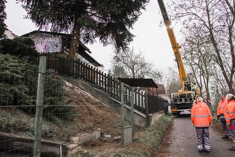 Kácení a transport vánočního smrku pro město Beroun