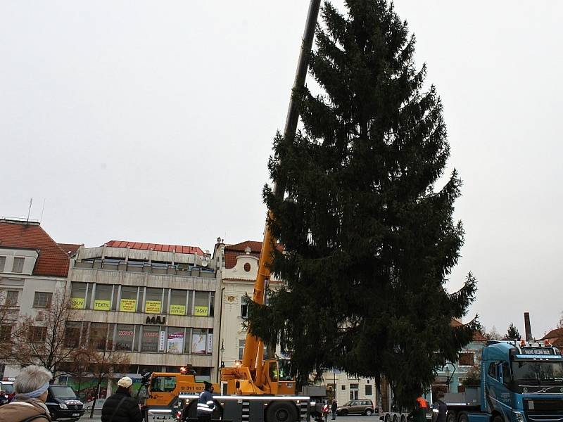 Vánoční strom na berounském Husově náměstí už stojí. 