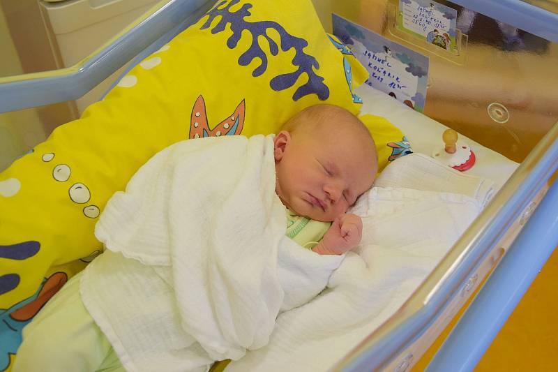 Samuel Koňarik se narodil 18. června 2021 ve 12.45 hodin v benešovské porodnici. Po narození vážil 3560 g. S maminkou Pavlínou a tatínkem Janem bude bydlet v Praze.