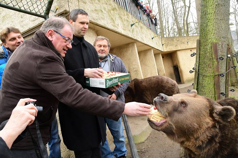 Z oslavy dvacátých narozenin medvědů Kuby a Matěje v areálu medvědária na Městské hoře v Berouně.