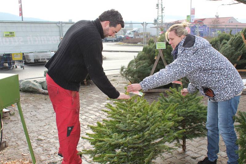 Lidé kupují hlavně vysoké stromky.